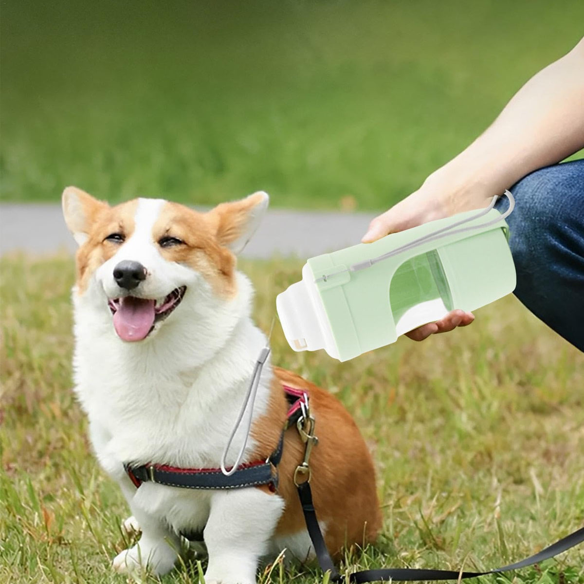 2 in 1 Travel Dog Water Bottle Pet Water Dispenser Feeder Drinking Feeder Dog Outing Water Feeder Pets Outdoor Portable Cup Pet Products